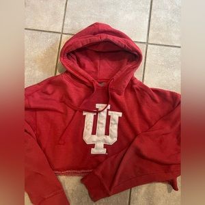 Cropped IU sweat shirt